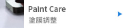 Paint Care (塗膜調整)